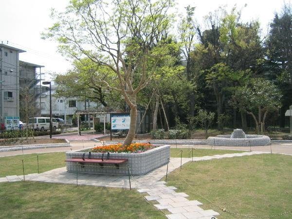 小泉公園のようす